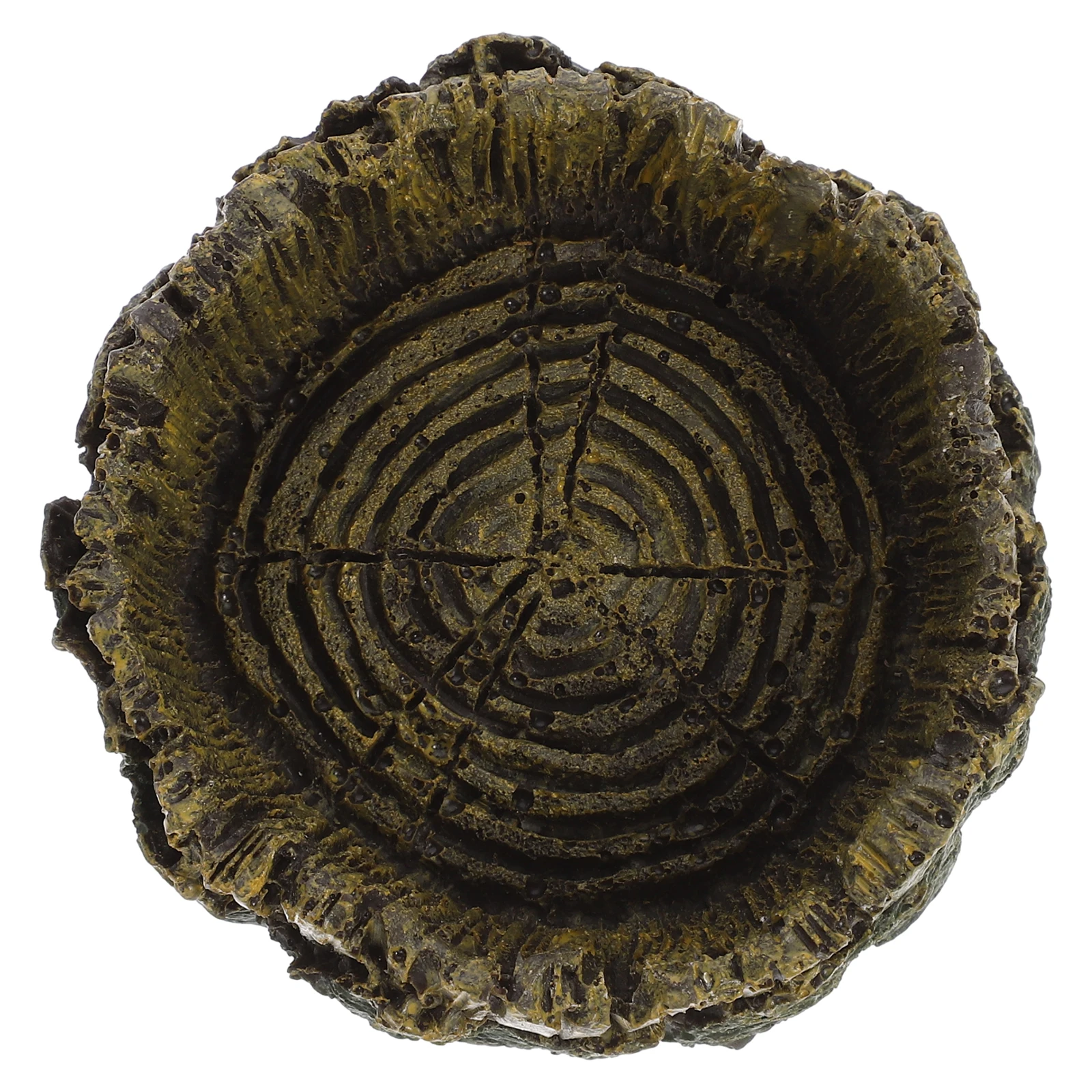 Reptile Feeding Bowl Imitation Wood Grain Pet Water Dish Lizards Snakes Turtles Anti Spill Design Premium Resin
Reptile Feeding Bowl Imitation Wood Grain Pet Water Dish Lizards Snakes Turtles Anti Spill Design Premium Resin