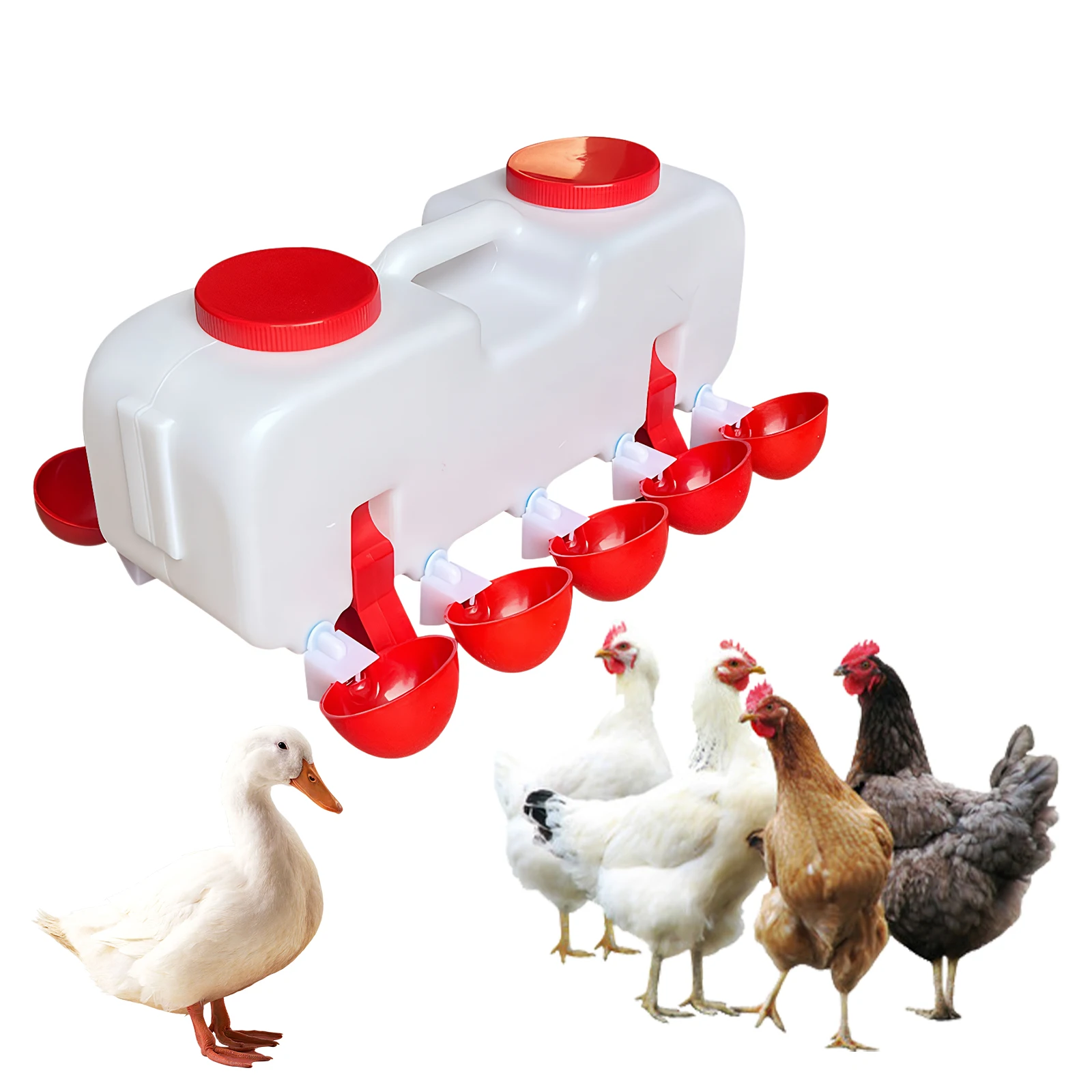 10KG Self Filling Poultry Waterer W/10 Cup Chicken Waterer Feeder Poultry Water Feeder Drinking Dispenser for Quail Duck Turkey
10KG Self Filling Poultry Waterer W/10 Cup Chicken Waterer Feeder Poultry Water Feeder Drinking Dispenser for Quail Duck Turkey