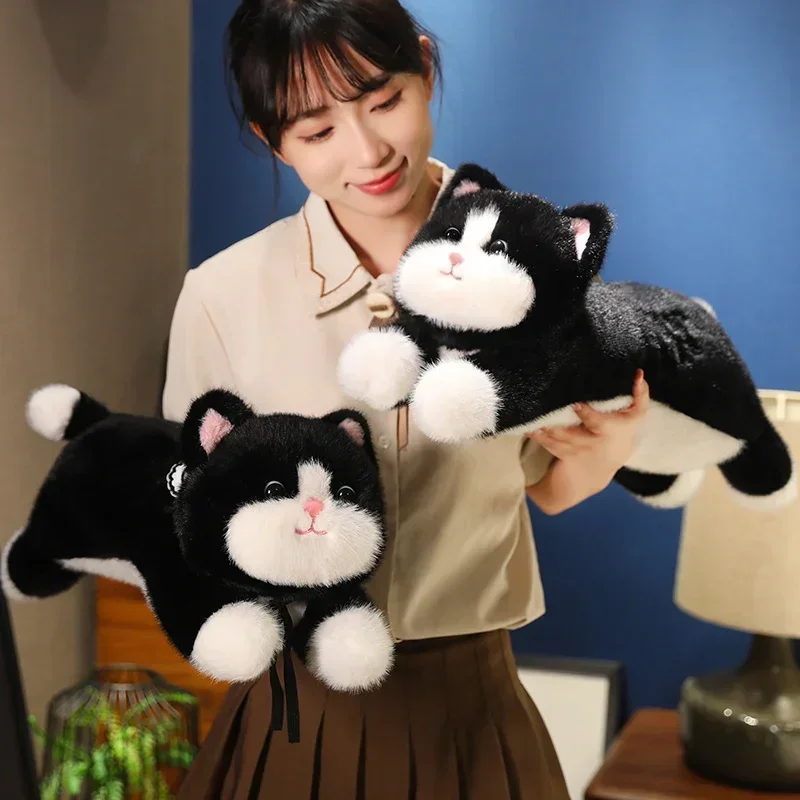 Новый 60/90 см Kawaii приятный черный кот с нагрудником плюшевая кукла мультфильм мягкие игрушки для девочек подарок на день Святого Валентина украшение дивана
Новый 60/90 см Kawaii приятный черный кот с нагрудником плюшевая кукла мультфильм мягкие игрушки для девочек подарок на день Святого Валентина украшение дивана