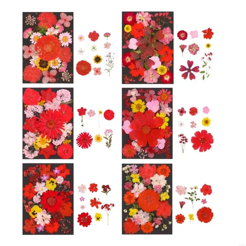 Natural Dry Flower Leaves Set for Art Craft Scrapbooking Jewelry Making Pressed Dried Flower For Epoxy Resin
Natural Dry Flower Leaves Set for Art Craft Scrapbooking Jewelry Making Pressed Dried Flower For Epoxy Resin
