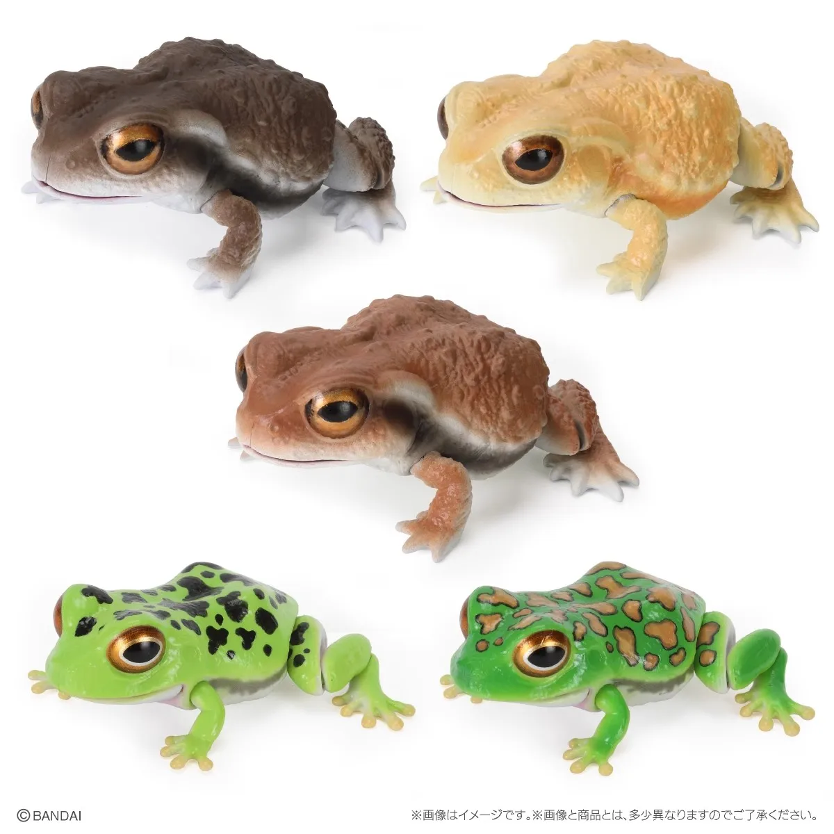 Bandai Original 5Pcs Gashapon ヒキガエルとモリアオガエル ヒキガエル ヒキガエル Action Figure Toys For Kids Gift Collectible Model Ornaments
Bandai Original 5Pcs Gashapon ヒキガエルとモリアオガエル ヒキガエル ヒキガエル Action Figure Toys For Kids Gift Collectible Model Ornaments