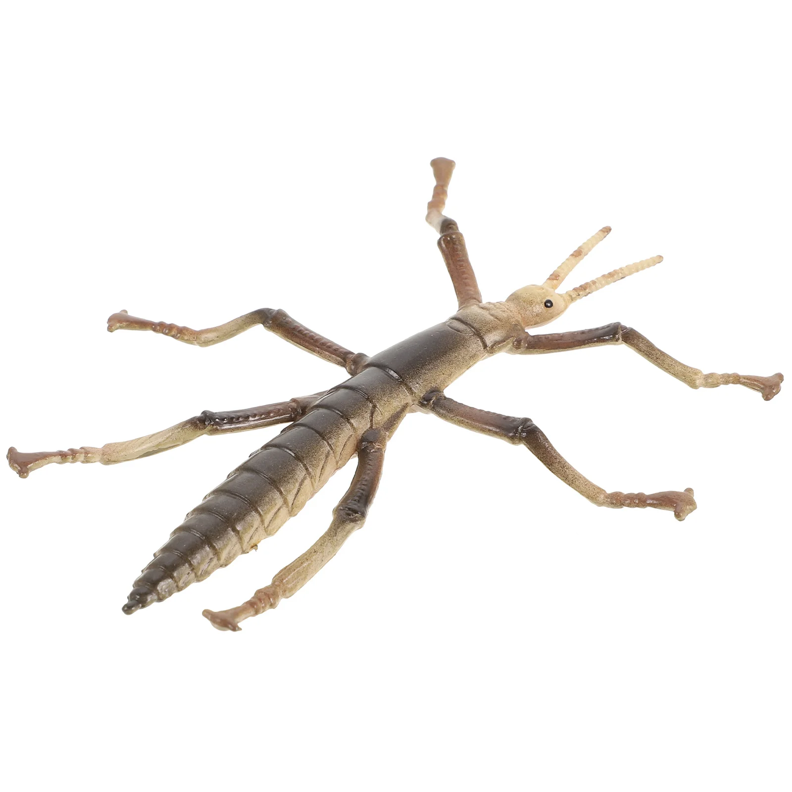 Animal Toys Stick Insect Model Mini Realistic Puzzle Children Supply Toddler for Toddlers
Animal Toys Stick Insect Model Mini Realistic Puzzle Children Supply Toddler for Toddlers