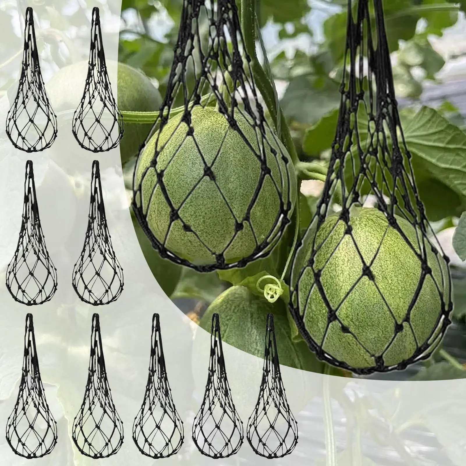 Watermelon Nets 10-Piece Garden Cantaloupe Hammock For Trellis Vertical Growing Bag Netting For Garden Orchard Yard Agricultural
Watermelon Nets 10-Piece Garden Cantaloupe Hammock For Trellis Vertical Growing Bag Netting For Garden Orchard Yard Agricultural