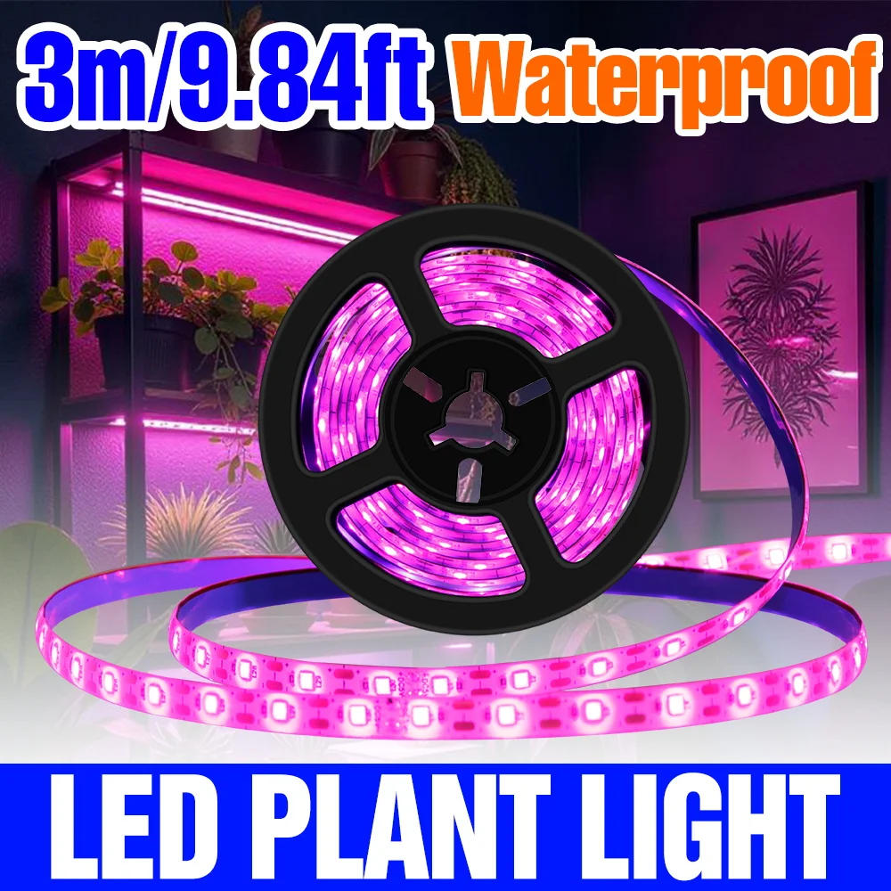 Full Spectrum LED Plant Light Strip 5V Indoor Grow Lamp Greenhouse Tent Vegs Fruits Hydroponics Seedling Cultivation Lighting
Full Spectrum LED Plant Light Strip 5V Indoor Grow Lamp Greenhouse Tent Vegs Fruits Hydroponics Seedling Cultivation Lighting