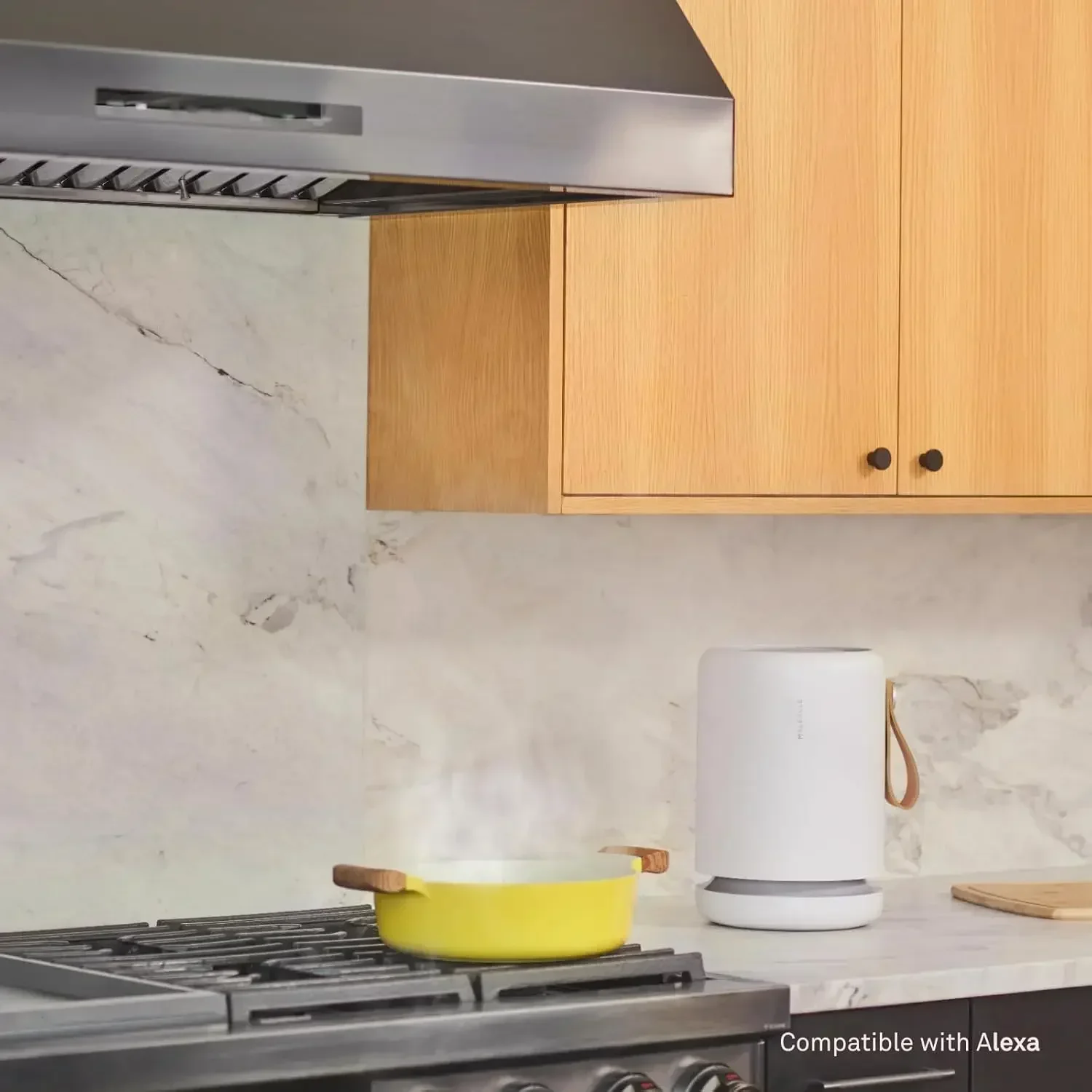 Molekule Air Mini+ | Air Purifier for Small Home Rooms up to 250 sq. ft. with PECO-HEPA Tri-Power Filter for Mold, Smoke
Molekule Air Mini+ | Air Purifier for Small Home Rooms up to 250 sq. ft. with PECO-HEPA Tri-Power Filter for Mold, Smoke