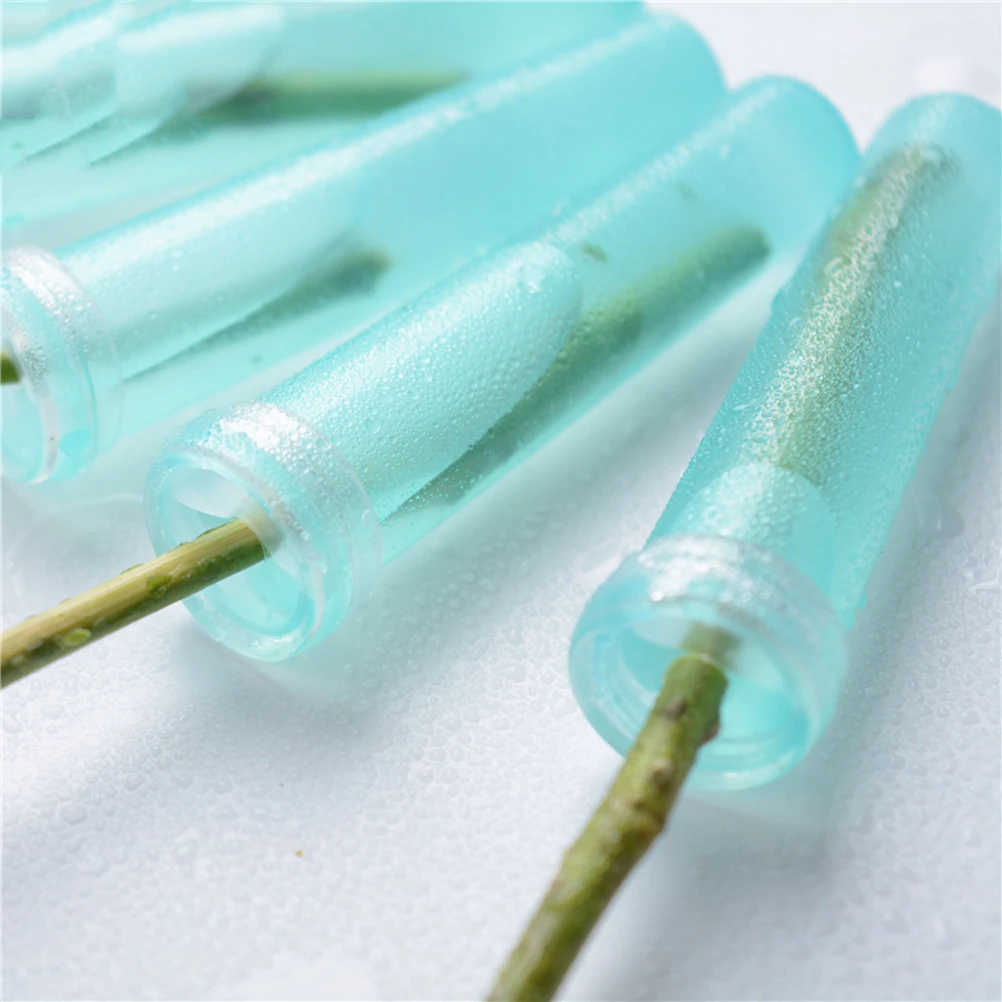 100 PCS Plant Watering Devices Flower Preservation Tube Shop Supplies Orchid Floral
100 PCS Plant Watering Devices Flower Preservation Tube Shop Supplies Orchid Floral