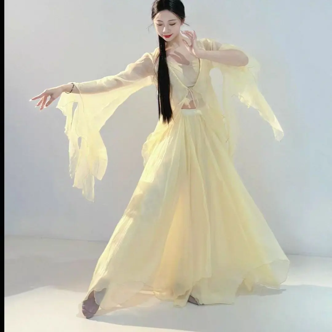 Flared Sleeve Sheer Dance Set - Wide-Leg Skirt Pants for Body Training, Chinese Classical Performance Costume
Flared Sleeve Sheer Dance Set - Wide-Leg Skirt Pants for Body Training, Chinese Classical Performance Costume