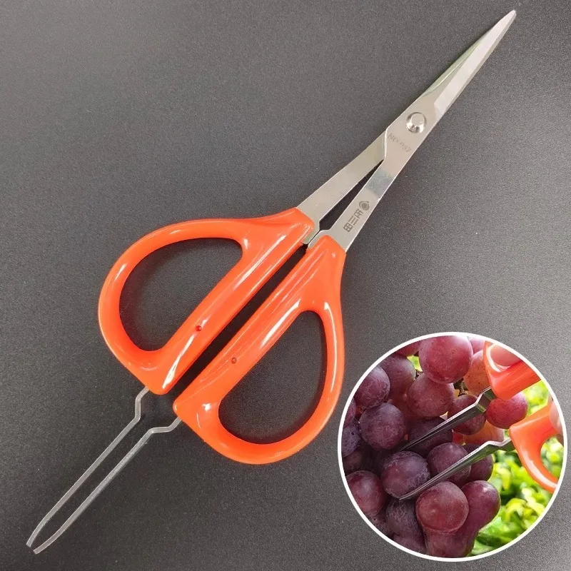 Professional Multifunctional Fruit-picking Scissors Tweezers Orchard Pruning Shears Pick Grapes Special Scissors Garden Tools
Professional Multifunctional Fruit-picking Scissors Tweezers Orchard Pruning Shears Pick Grapes Special Scissors Garden Tools