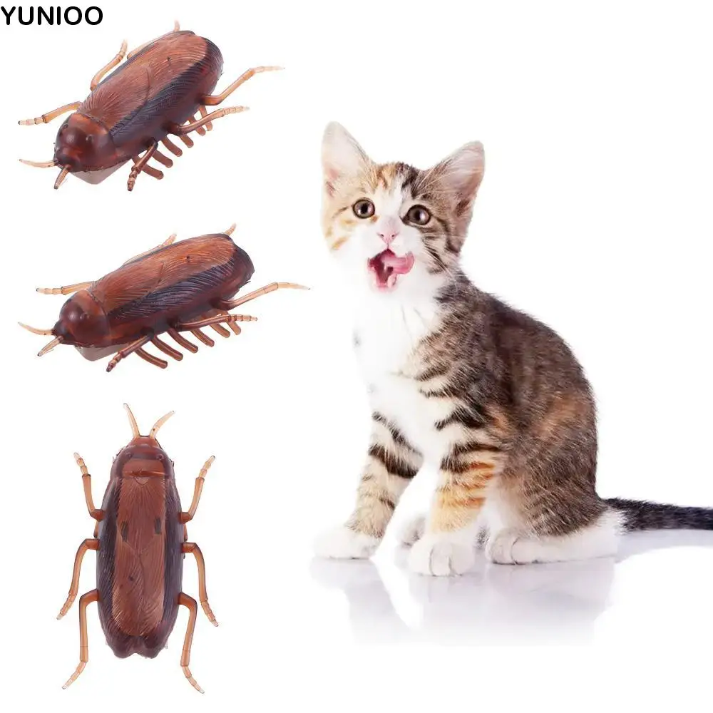 Котенок, новинка, кляп, игрушки, забавная обучающая игровая игрушка, аккумулятор, детский таракан
Котенок, новинка, кляп, игрушки, забавная обучающая игровая игрушка, аккумулятор, детский таракан