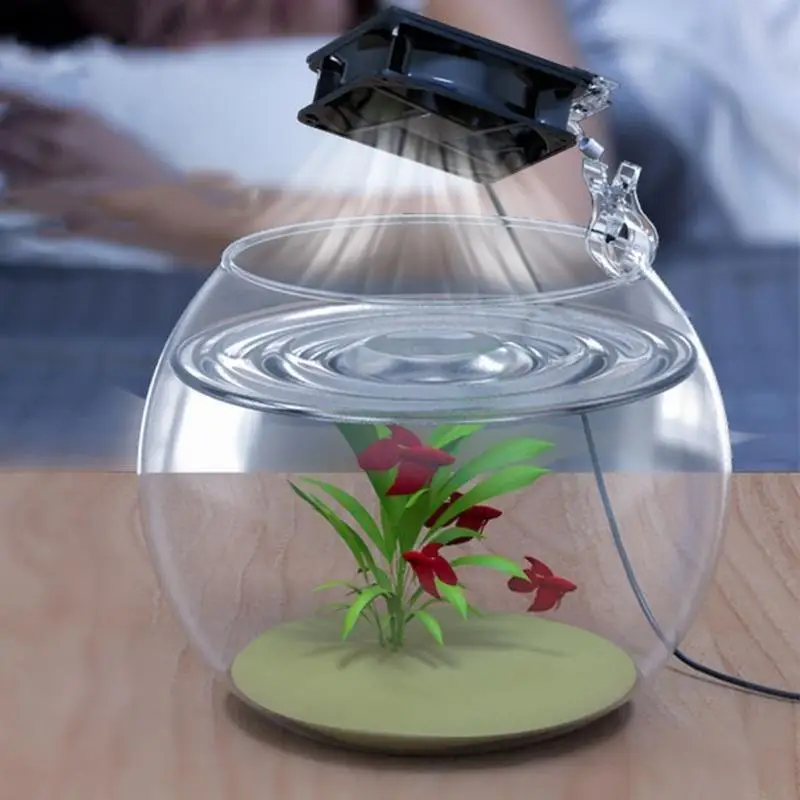 Aquarium Fish Cooling Fan System Chiller Control Reduce Water Temperature
Aquarium Fish Cooling Fan System Chiller Control Reduce Water Temperature