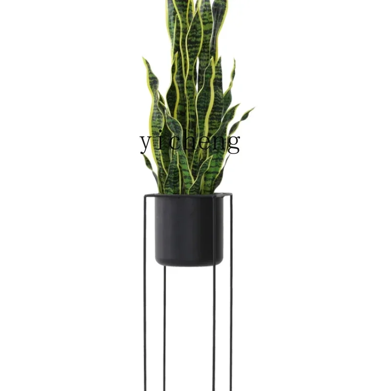 simulated plant Phnom Penh tiger pilan potted plant indoor front desk decoration green plant ornament
simulated plant Phnom Penh tiger pilan potted plant indoor front desk decoration green plant ornament