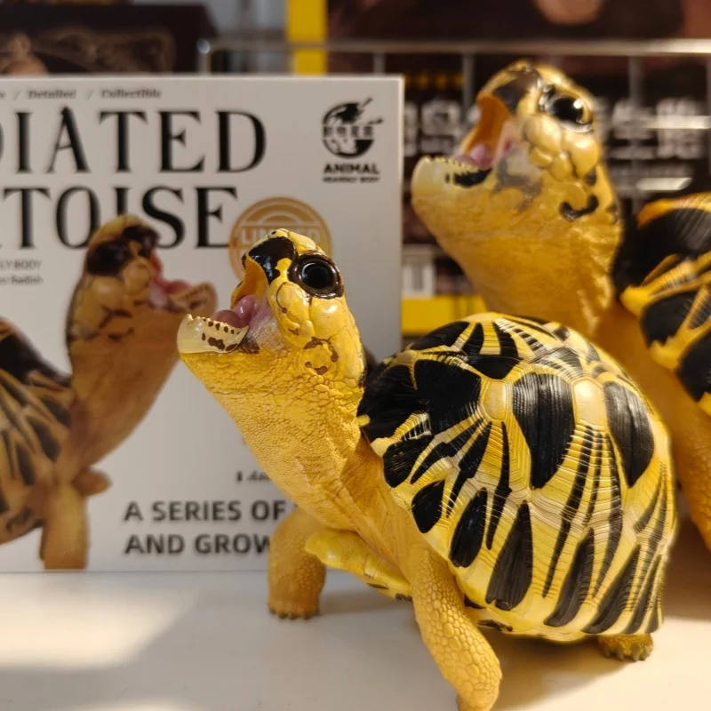 Animal Heavenly Body Radiated Tortoise Figure Open Mouth Resin Model Desktop Decor Collection Ornament For Reptile Hobbyists
Animal Heavenly Body Radiated Tortoise Figure Open Mouth Resin Model Desktop Decor Collection Ornament For Reptile Hobbyists