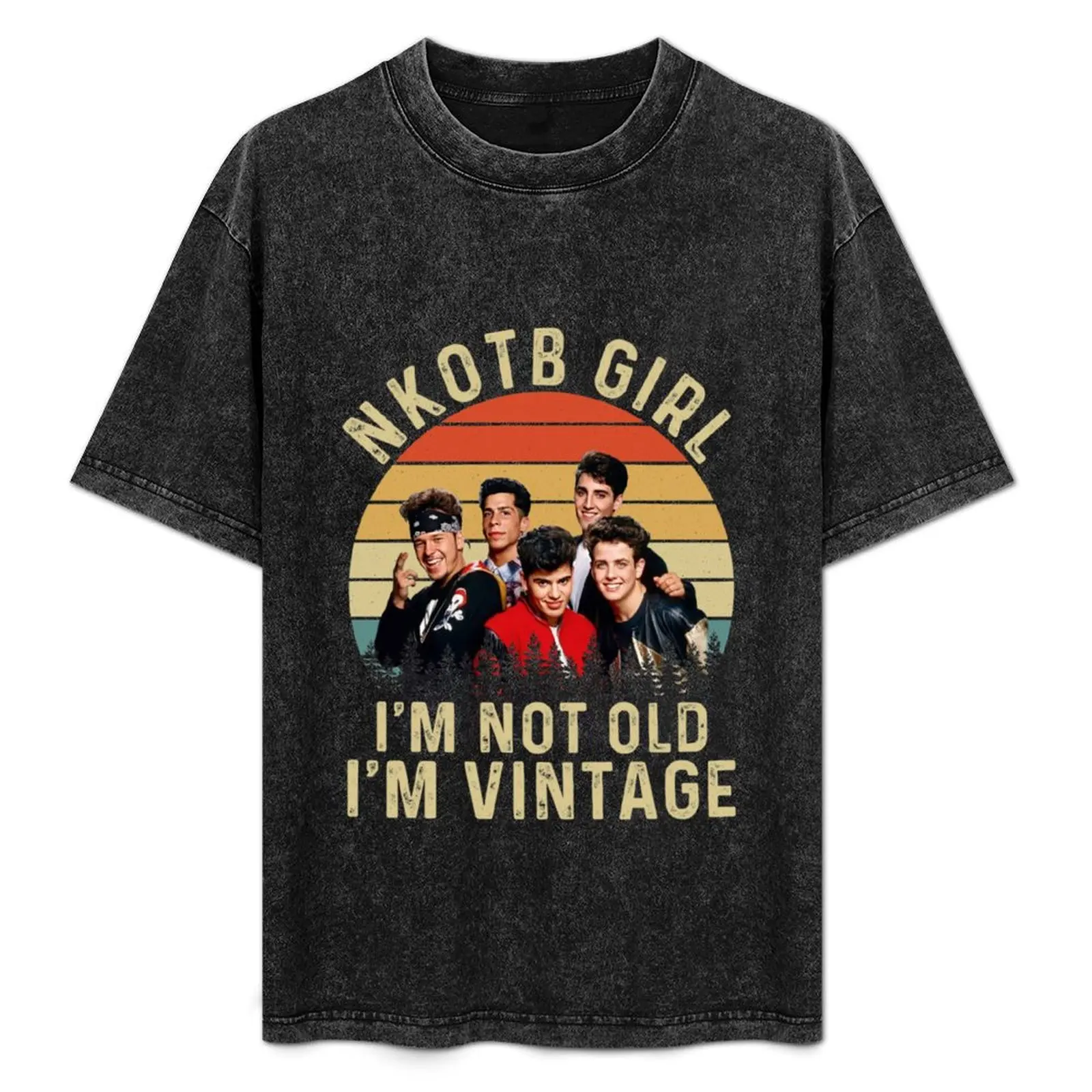 New Kids Girl I’m Not Old I’m Vintage T-Shirt quick-drying sports fans blanks mens workout shirts
New Kids Girl I’m Not Old I’m Vintage T-Shirt quick-drying sports fans blanks mens workout shirts