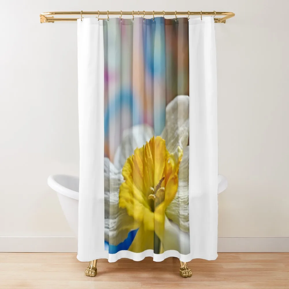 Daffodil Joy Shower Curtain Bathroom For Shower Washable Waterproof Fabric Shower Curtain
Daffodil Joy Shower Curtain Bathroom For Shower Washable Waterproof Fabric Shower Curtain