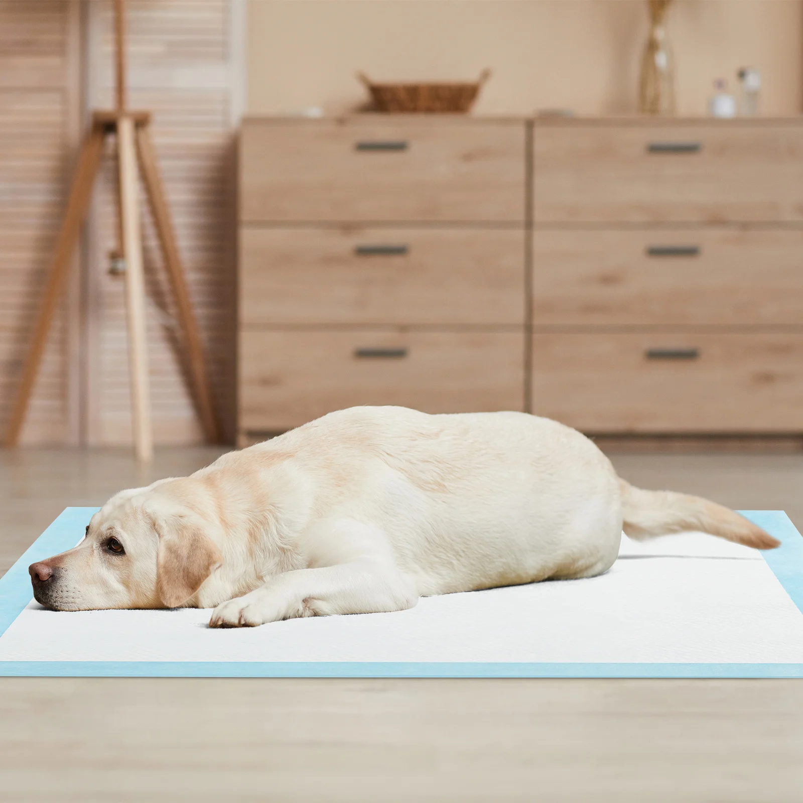COSTWAY 36" x 36" (100 Counts) Dog Potty Training Pads, Puppy Pee Pads w/ 6-layer Construction, Quick-Drying, Leak-proof Design, Absorbent Polymer Core, Indoor Outdoor Disposable Urine Bed Pads for Doggie, Pee Pads for Puppies, Dog Disposable Pee Pads
COSTWAY 36" x 36" (100 Counts) Dog Potty Training Pads, Puppy Pee Pads w/ 6-layer Construction, Quick-Drying, Leak-proof Design, Absorbent Polymer Core, Indoor Outdoor Disposable Urine Bed Pads for Doggie, Pee Pads for Puppies, Dog Disposable Pee Pads