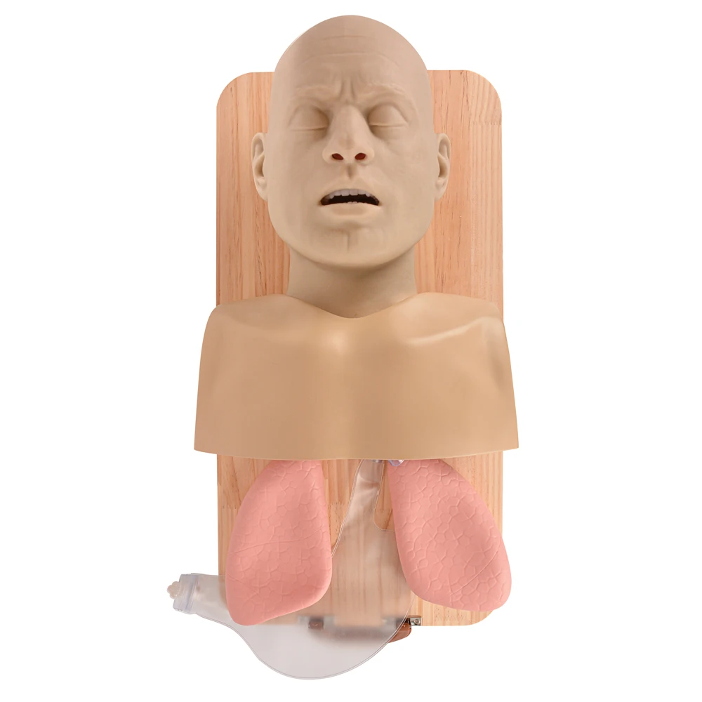 Ultrassist Advanced Adult Airway Management Trainer Manikin with Support Board
Ultrassist Advanced Adult Airway Management Trainer Manikin with Support Board