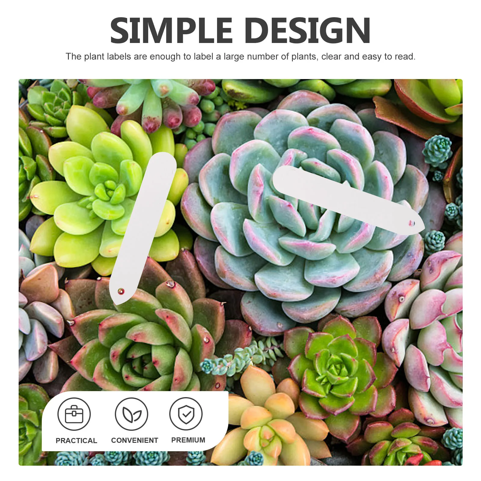 100pcs Waterproof Plant Labels Markers Outdoor Garden Signs Vegetable Tags Sturdy Soil Stakes Durable Plant Name for Flowers
100pcs Waterproof Plant Labels Markers Outdoor Garden Signs Vegetable Tags Sturdy Soil Stakes Durable Plant Name for Flowers