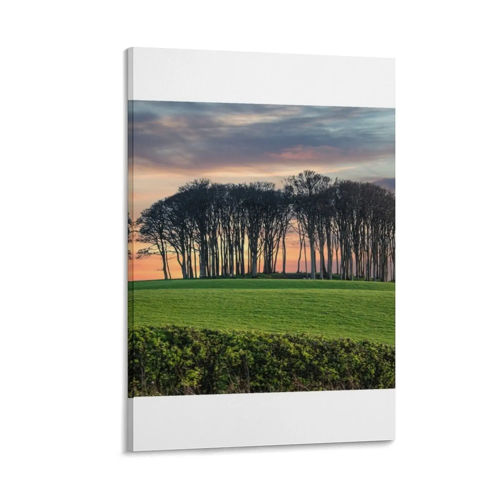 nearly home trees Cornwall at sunset Canvas Painting room decorations for girls Paintings on the wall decor
nearly home trees Cornwall at sunset Canvas Painting room decorations for girls Paintings on the wall decor