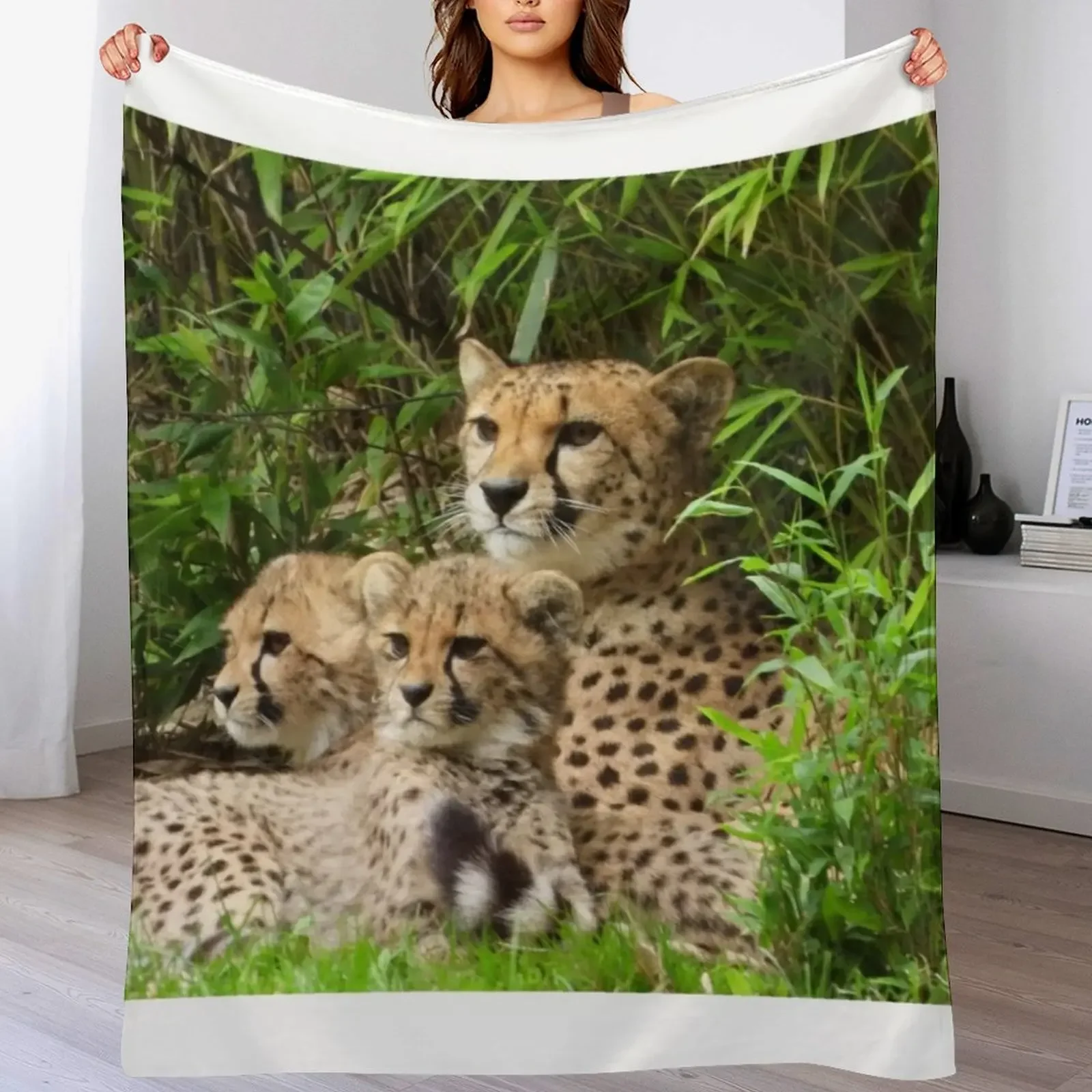 A Beautiful Cheetah With Her Two Cubs Throw Blanket Travel Size Cozy Blanket for Plane Train
A Beautiful Cheetah With Her Two Cubs Throw Blanket Travel Size Cozy Blanket for Plane Train