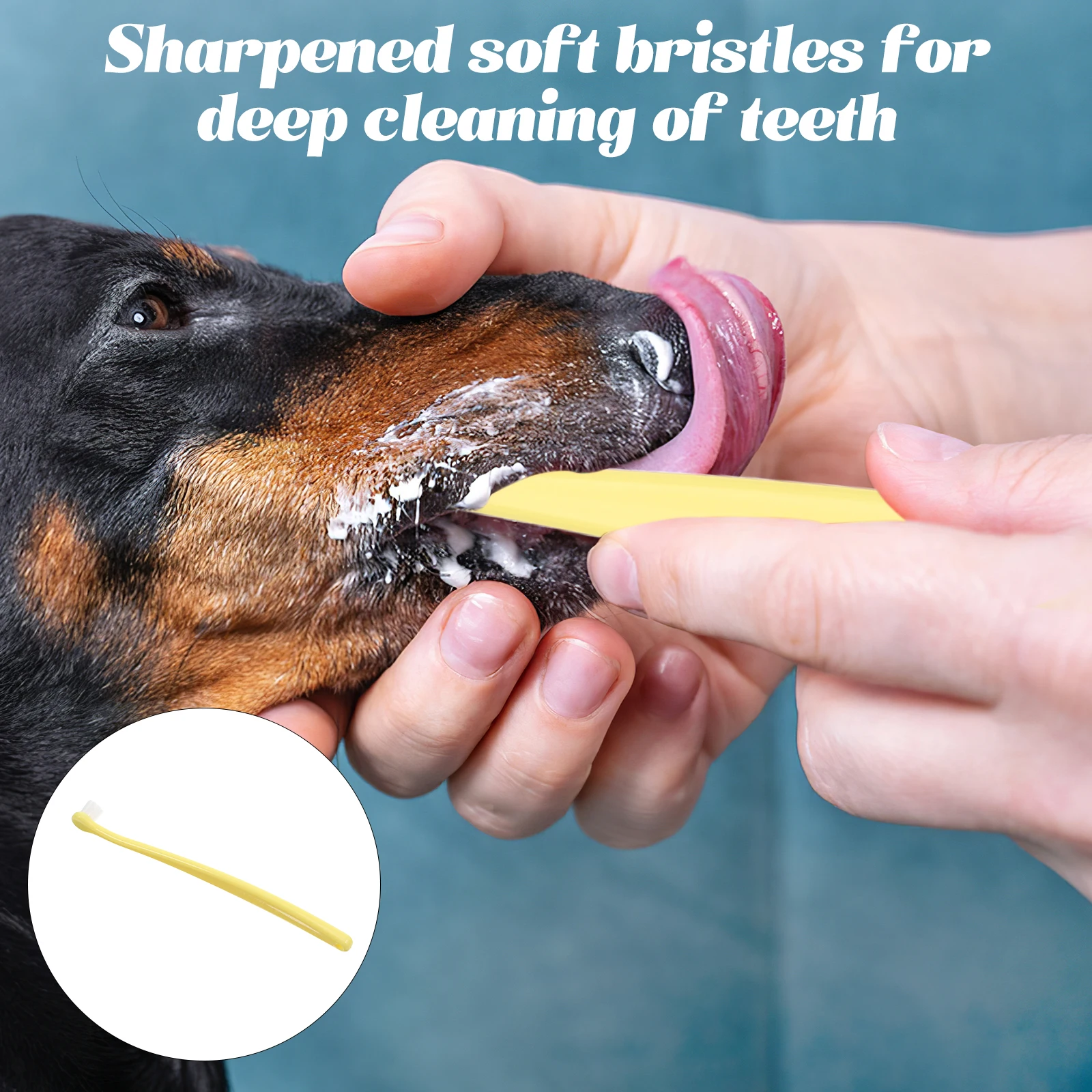 Soft Pet Toothbrush For Dogs Cats Round Head Design Gentle Oral Cleaning Comfortable Handle Small Breed Puppy Kitten Dental
Soft Pet Toothbrush For Dogs Cats Round Head Design Gentle Oral Cleaning Comfortable Handle Small Breed Puppy Kitten Dental