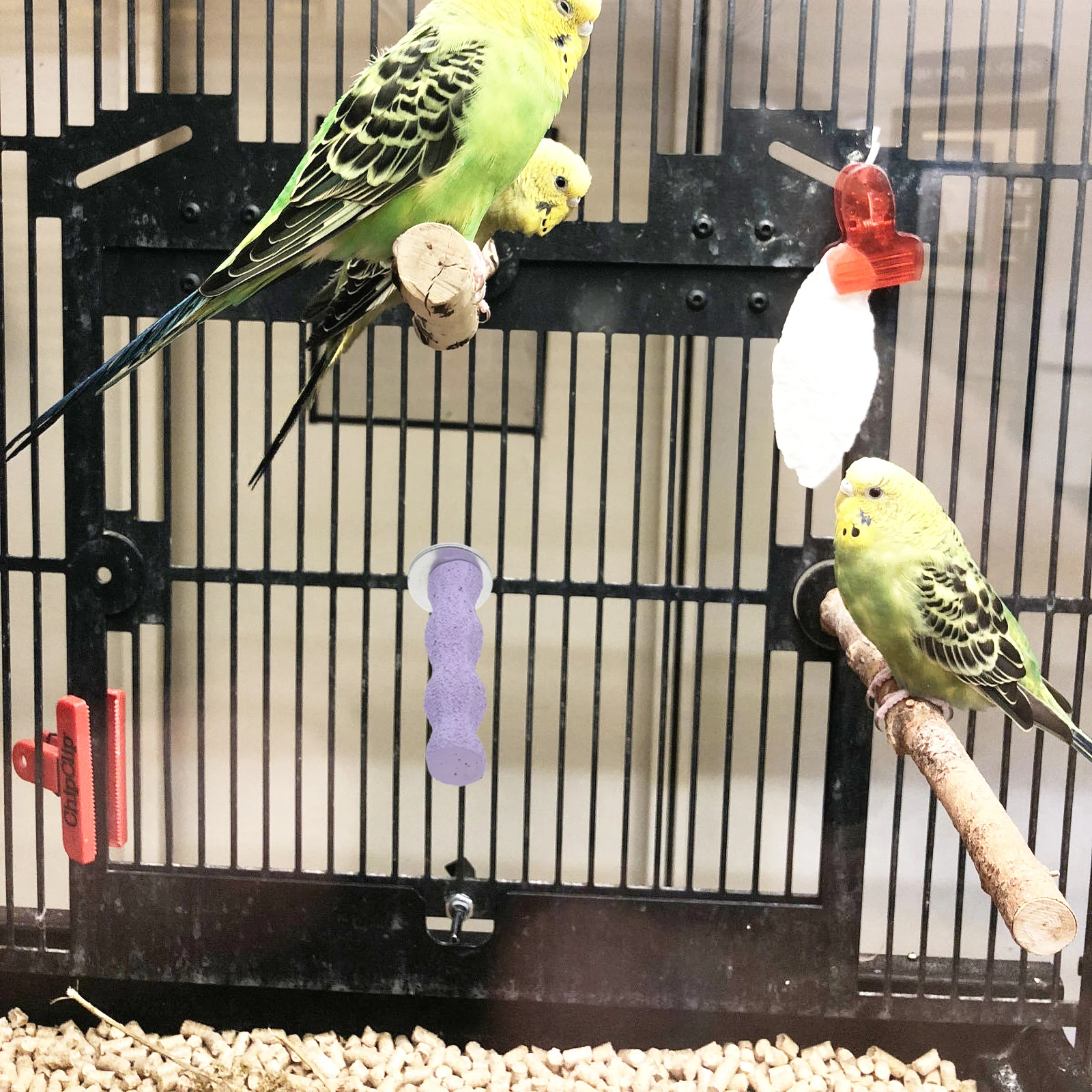 14Cm Bird Perch Natural Wood Sand Grinding Nail Cage Accessories For Parrot Parakeet Cockatiel Conure African Grey Small Medium
14Cm Bird Perch Natural Wood Sand Grinding Nail Cage Accessories For Parrot Parakeet Cockatiel Conure African Grey Small Medium