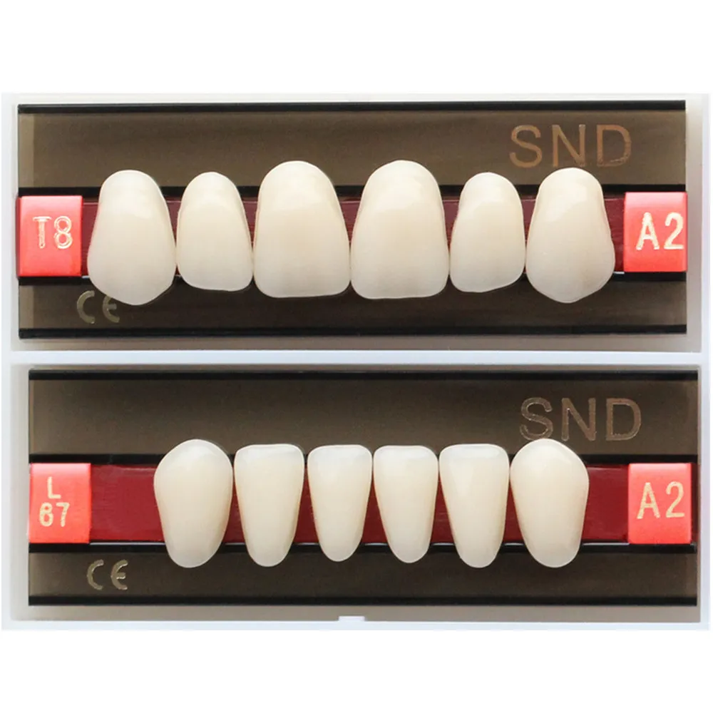 A2 Shade Dental Acrylic Synthetic Resin Teeth Whitening Two-Layer Denture Full Mouth Fake Oral Care False U/L Anterior Posterior
A2 Shade Dental Acrylic Synthetic Resin Teeth Whitening Two-Layer Denture Full Mouth Fake Oral Care False U/L Anterior Posterior