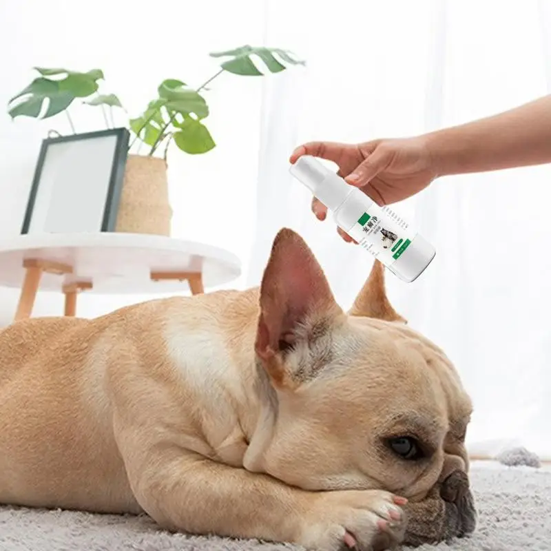 Pet Itchy Skin Spray Skin Ringworm Repair Spray Portable Spray Design Skin Repair Tool For Dogs Cats And Other Small Animals
Pet Itchy Skin Spray Skin Ringworm Repair Spray Portable Spray Design Skin Repair Tool For Dogs Cats And Other Small Animals