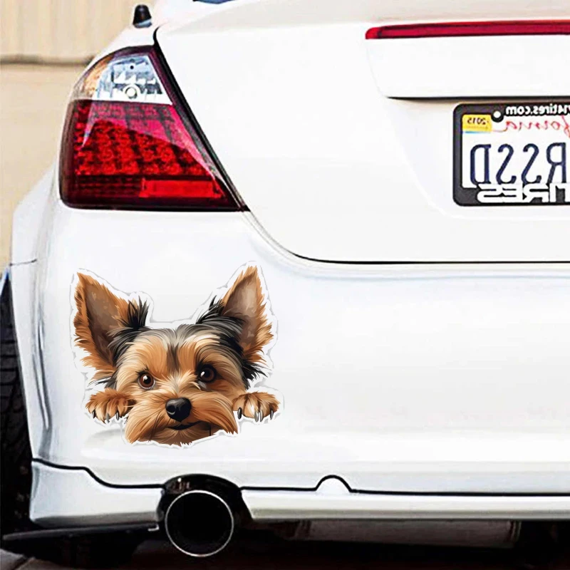 Car Vinyl Decal Yorkshire Terrier Sticker Waterproof Removable for Car Motorcycle Laptop Auto Body Decoration
Car Vinyl Decal Yorkshire Terrier Sticker Waterproof Removable for Car Motorcycle Laptop Auto Body Decoration