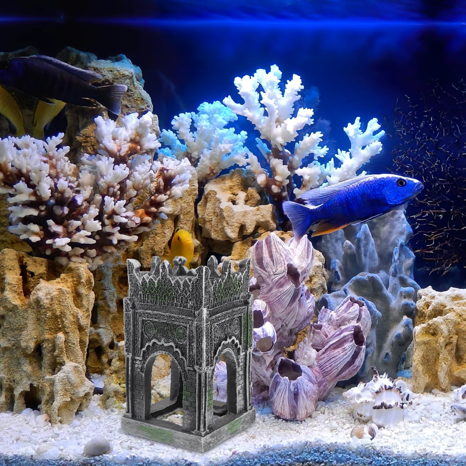 1# Ornaments Resin Aquarium Castle Fish Tank Landscaping Decorative Craft Wear-Resistant Fine Micro Landscape Garden
1# Ornaments Resin Aquarium Castle Fish Tank Landscaping Decorative Craft Wear-Resistant Fine Micro Landscape Garden