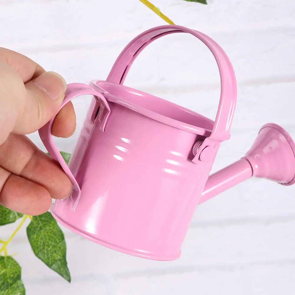 2pcs Iron Sheet Watering Can Long Spout Durable Gardening Tool for Plants Succulent Humidity Control Metal Pot
2pcs Iron Sheet Watering Can Long Spout Durable Gardening Tool for Plants Succulent Humidity Control Metal Pot