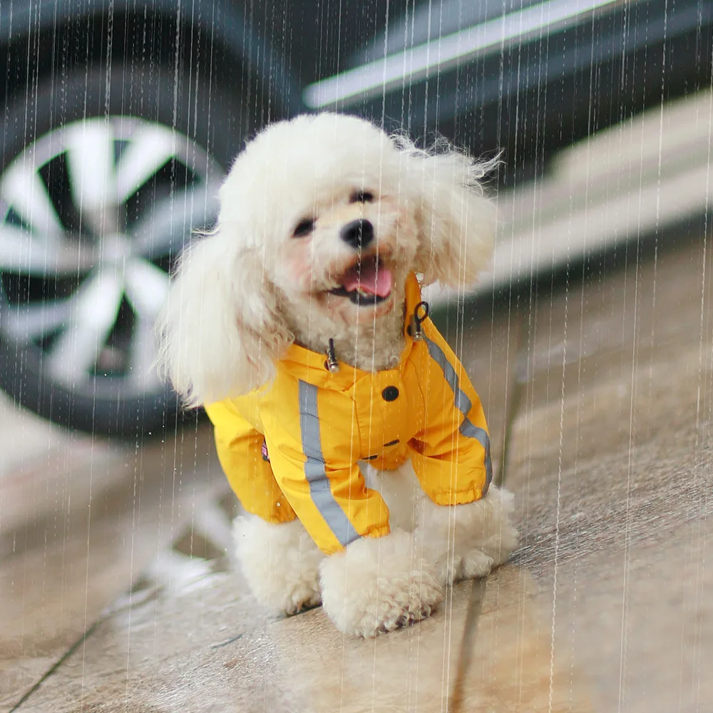 Dog Raincoat Outdoor Reflective Waterproof Windproof Pet Hoodie Small And Medium Sized Dog Joint Raincoat Dog Outdoor Clothing
Dog Raincoat Outdoor Reflective Waterproof Windproof Pet Hoodie Small And Medium Sized Dog Joint Raincoat Dog Outdoor Clothing