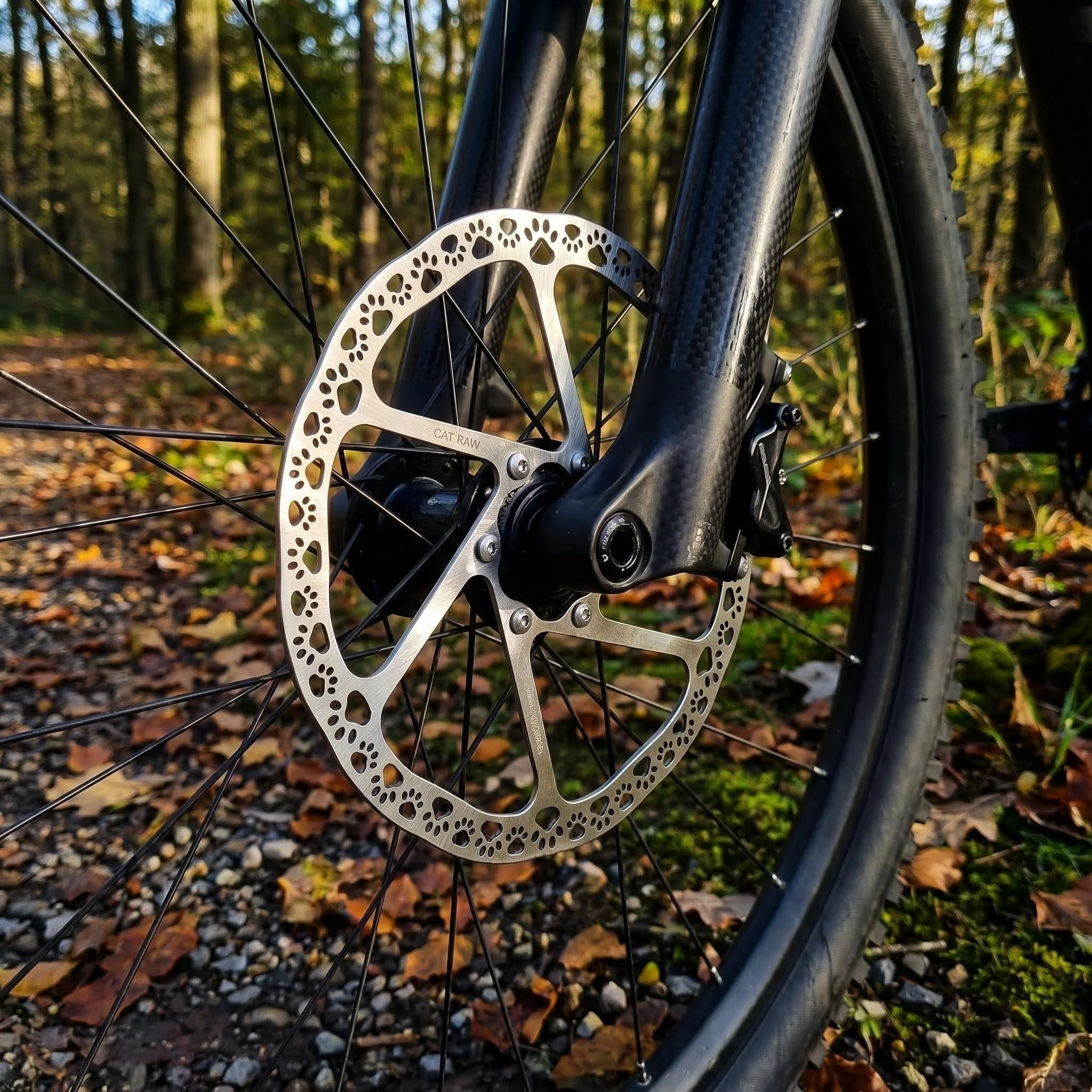 Bicycle Disc Brake Rotor 140mm 160mm 180mm 6 Bolts Cat Paw Disc Brakes Pads Ultra-Lightweight Bike Part Forged Steel
Bicycle Disc Brake Rotor 140mm 160mm 180mm 6 Bolts Cat Paw Disc Brakes Pads Ultra-Lightweight Bike Part Forged Steel