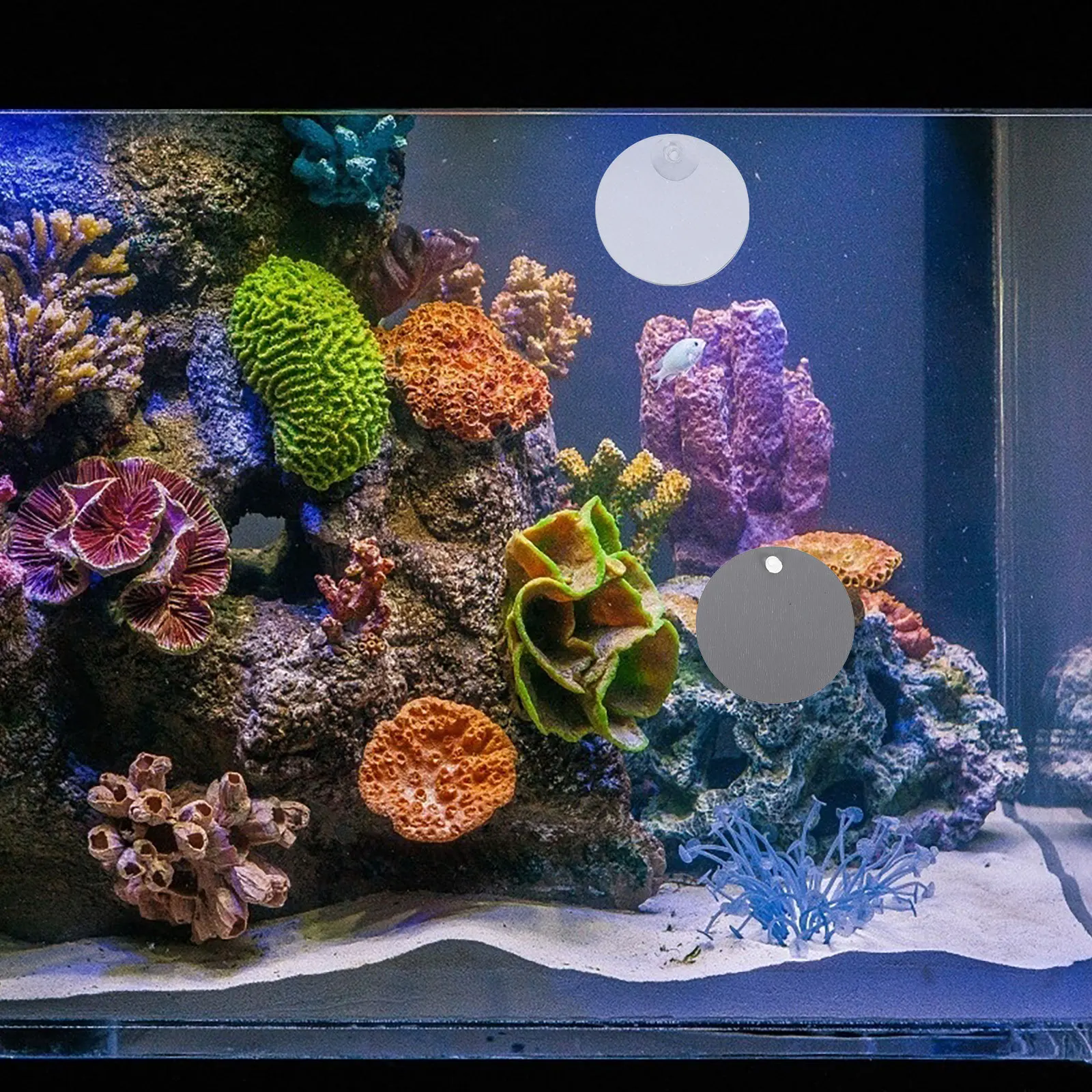 10 Pcs Fish Teasing Mirror Aquarium Accessories Round Betta Tank Decor for Glass
10 Pcs Fish Teasing Mirror Aquarium Accessories Round Betta Tank Decor for Glass