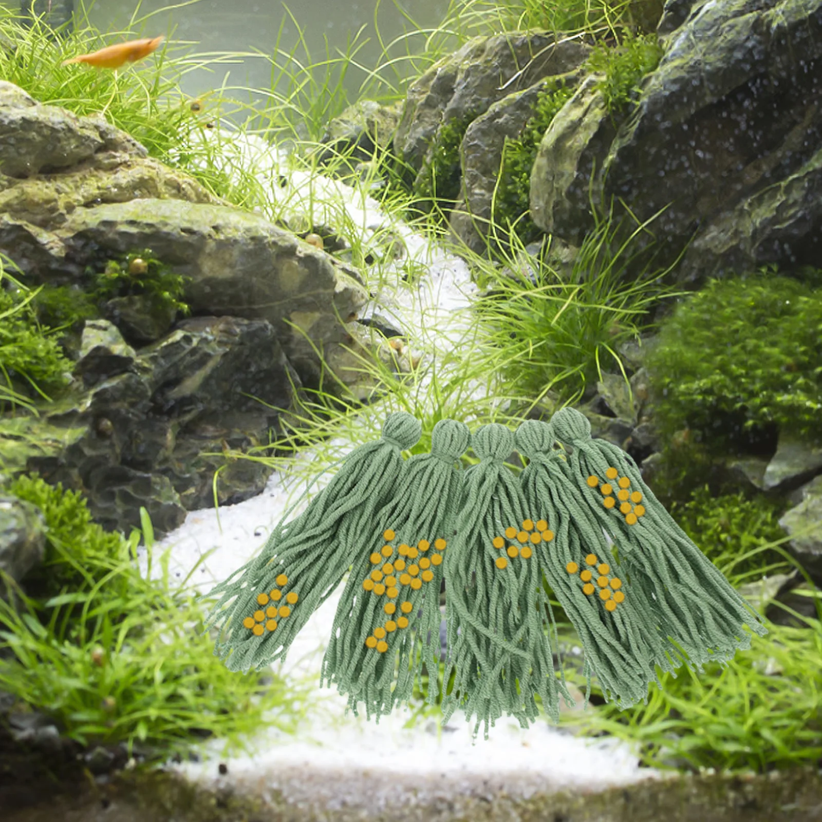 5Pcs Fish Spawning Mop for Fish Tank Angelfish Shrimp Breeding Mop Aquarium Decoration Egg Laying Tool Spawning Breed Mops 
5Pcs Fish Spawning Mop for Fish Tank Angelfish Shrimp Breeding Mop Aquarium Decoration Egg Laying Tool Spawning Breed Mops