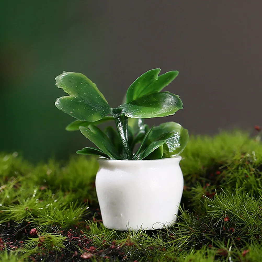 8Pcs Miniature Potted Plants Simulated Bonsai Decor for Tiny House Mini Apartments Office Desk Micro Garden Scene Dollhouse
8Pcs Miniature Potted Plants Simulated Bonsai Decor for Tiny House Mini Apartments Office Desk Micro Garden Scene Dollhouse