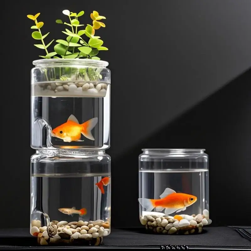 Miniature Landscape Transparent Fish Tank Plastic Shatterproof Multifunctional Durable Tabletop Ecological Fish Tank
Miniature Landscape Transparent Fish Tank Plastic Shatterproof Multifunctional Durable Tabletop Ecological Fish Tank