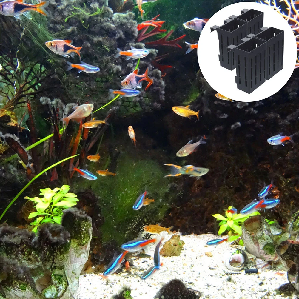 6 Pcs Aquarium Plant Holder Plastic Water Plant St Supplies Hanging Pots for Aquatic Plants Growing Healthy Roots Decorate Tank
6 Pcs Aquarium Plant Holder Plastic Water Plant St Supplies Hanging Pots for Aquatic Plants Growing Healthy Roots Decorate Tank