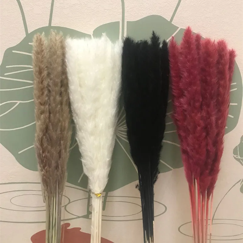 High Quality Home Decor Dried Flowers small pampas grass natural ornament reed grass for wedding decoration bedroom decor
High Quality Home Decor Dried Flowers small pampas grass natural ornament reed grass for wedding decoration bedroom decor