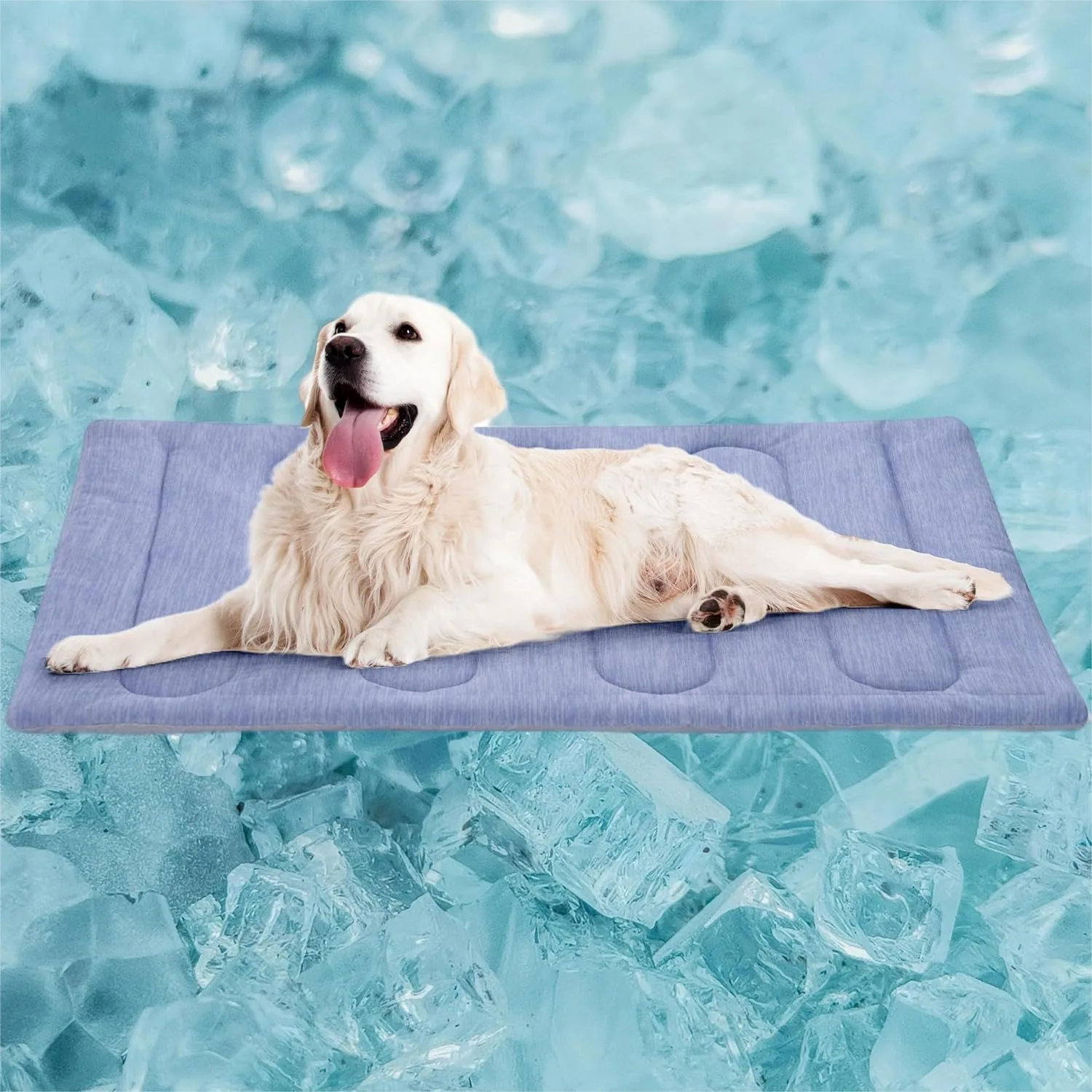 Cooling Mat For Large Dogs Double Sided Waterproof Portable Q Max 0.47 Summer Dog Mat 35.5x23.6 Inches
Cooling Mat For Large Dogs Double Sided Waterproof Portable Q Max 0.47 Summer Dog Mat 35.5x23.6 Inches