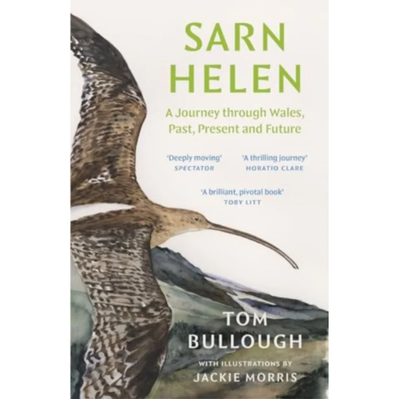 Sarn Helen A Journey Through Wales Past Present And Future Tom Bullough Granta Books 9781783788118 Book
Sarn Helen A Journey Through Wales Past Present And Future Tom Bullough Granta Books 9781783788118 Book