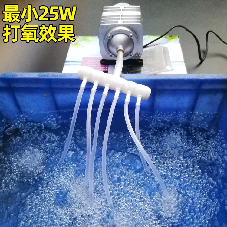 Fish Pond Steaming Machine 220V Oxygenation Pump Outdoor Small Itching Machine High-power Anti Splash Waterater
Fish Pond Steaming Machine 220V Oxygenation Pump Outdoor Small Itching Machine High-power Anti Splash Waterater