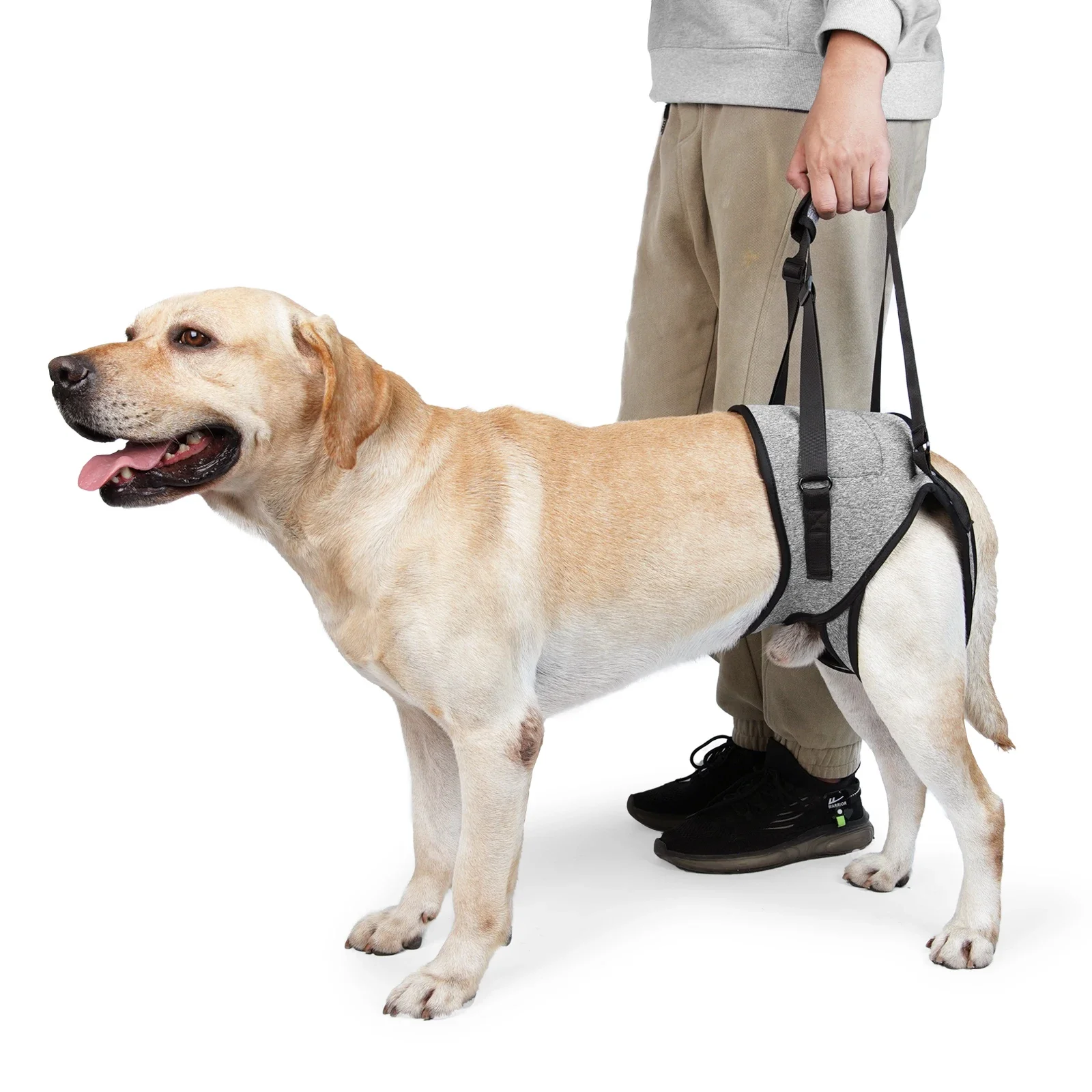 Dog Lift Harness for Large Dogs Soft Padded Adjustable Pet Rear Leg Support for Old Disabled Joint Injuries Dog Back Leg Sling
Dog Lift Harness for Large Dogs Soft Padded Adjustable Pet Rear Leg Support for Old Disabled Joint Injuries Dog Back Leg Sling