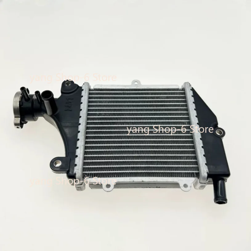 Motorcycle Engine Parts Water Cooler Radiator For Peugeot 150cc QP150T-3C Django LCT QP150T-G SF4 QP 150T-3C 150T-G
Motorcycle Engine Parts Water Cooler Radiator For Peugeot 150cc QP150T-3C Django LCT QP150T-G SF4 QP 150T-3C 150T-G