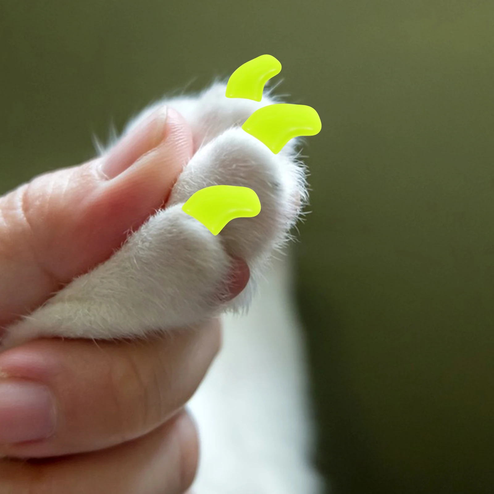 20pcs Cat Claw Covers for Indoor Cats Furniture Protection Scratch Protector Pet Supplies TPR Material Long Lasting 
20pcs Cat Claw Covers for Indoor Cats Furniture Protection Scratch Protector Pet Supplies TPR Material Long Lasting