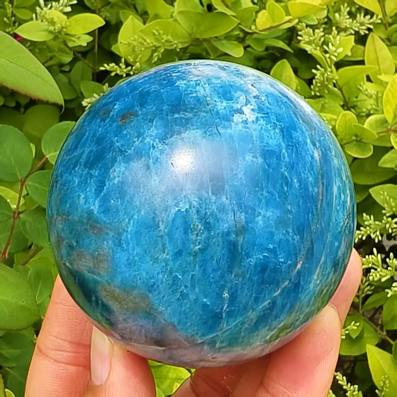 Natural Formed!Blue Phosphorus Grey Ball, Quartz Crystal Blue Mineral Ball, Mineral, Reiki, Healing Blue Ball
Natural Formed!Blue Phosphorus Grey Ball, Quartz Crystal Blue Mineral Ball, Mineral, Reiki, Healing Blue Ball