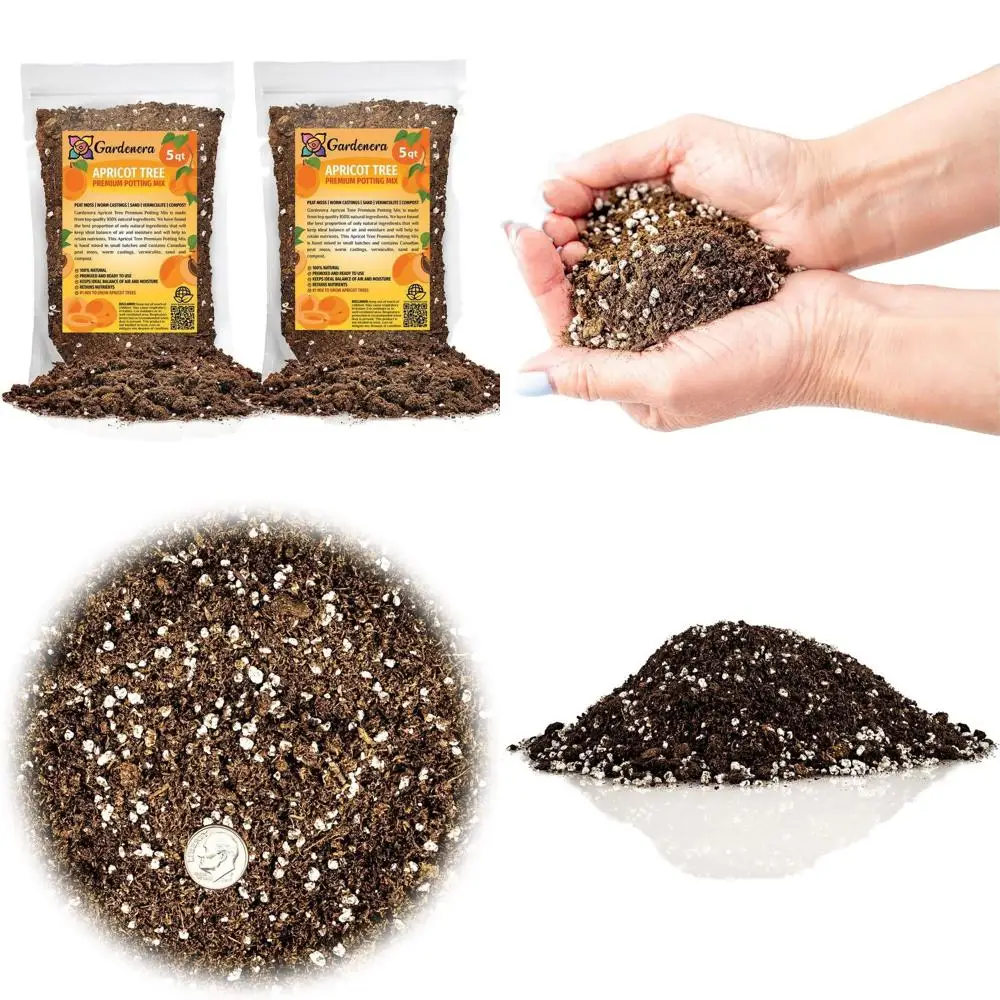 Premium Apricot Potting Soil Mix - Nutrient-Rich for Healthy, Delicious, and Abundant Apricots - 10 Quart
Premium Apricot Potting Soil Mix - Nutrient-Rich for Healthy, Delicious, and Abundant Apricots - 10 Quart