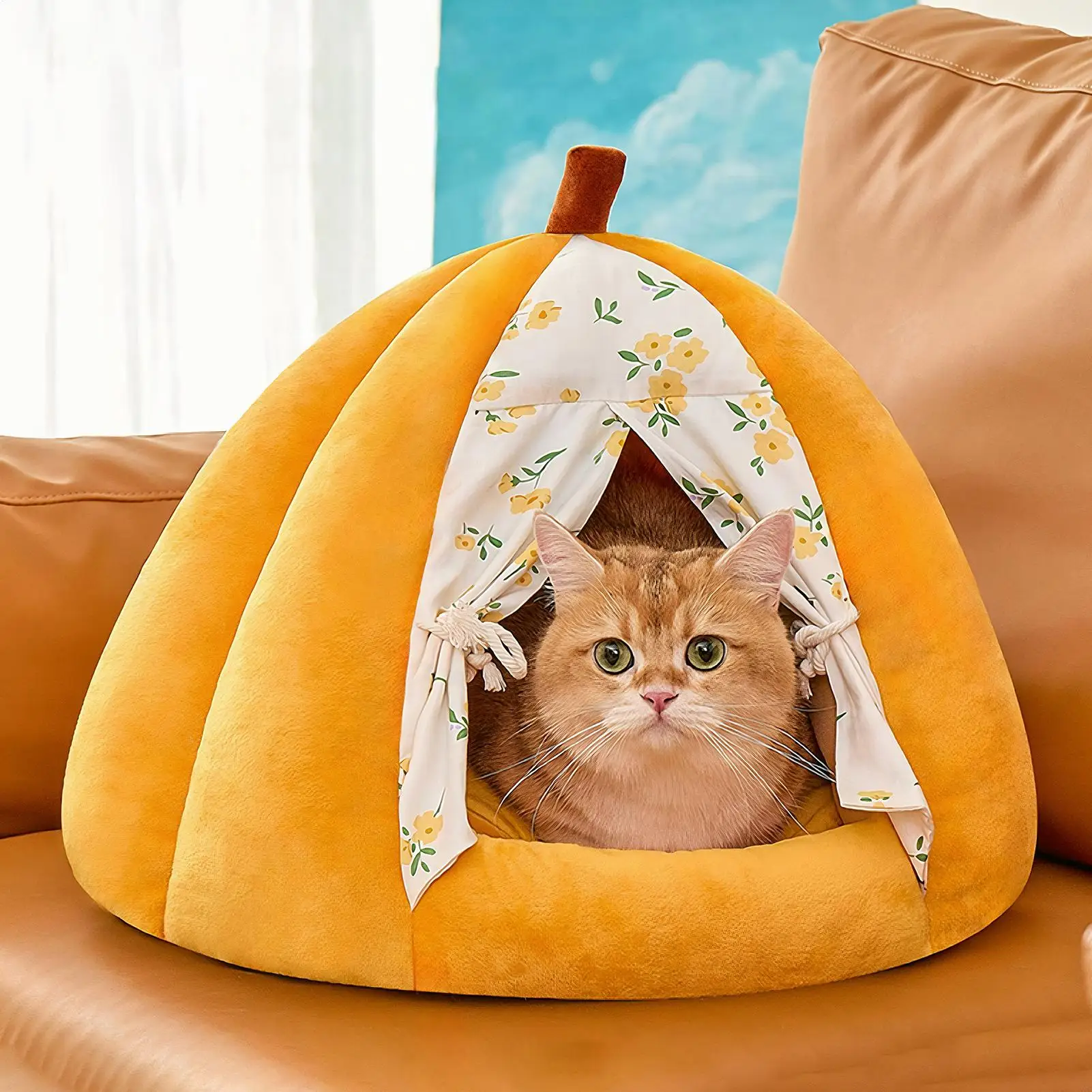 Кошачий домик с дверной драпировкой, зимняя закрытая кошачья кровать, гнездо для сна для кошек в форме тыквы, успокаивающее и спальное гнездо для кошек
Кошачий домик с дверной драпировкой, зимняя закрытая кошачья кровать, гнездо для сна для кошек в форме тыквы, успокаивающее и спальное гнездо для кошек