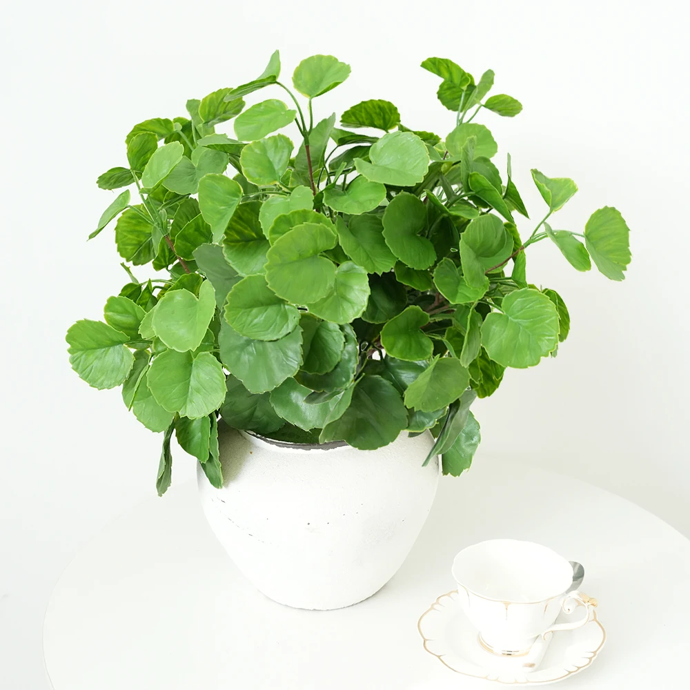 Artificial Eucalyptus Stems Faux Ecualyptus Leaves Money Leaf Fake Greenery Stems Plants for Home Wedding Party Farmhouse Decor
Artificial Eucalyptus Stems Faux Ecualyptus Leaves Money Leaf Fake Greenery Stems Plants for Home Wedding Party Farmhouse Decor