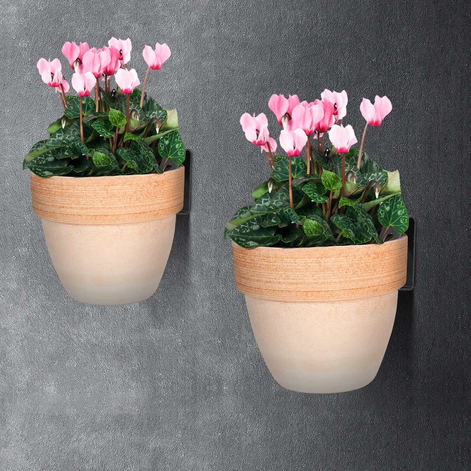 5 Pcs Terracotta Pots Hangers Flower Hook Clips for Trellis Wall Mount Plant Holder
5 Pcs Terracotta Pots Hangers Flower Hook Clips for Trellis Wall Mount Plant Holder