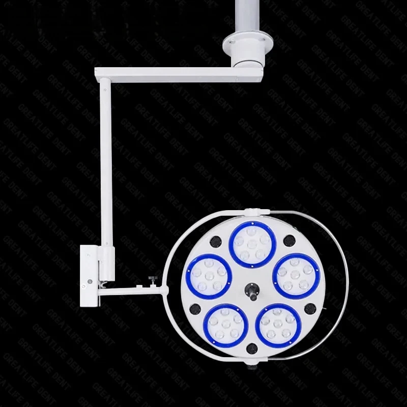 30 Leds 90000 Lux Surgical Light for Examination Shadowless Lamp Operation Lights Medical Theatre Surgical Operations
30 Leds 90000 Lux Surgical Light for Examination Shadowless Lamp Operation Lights Medical Theatre Surgical Operations